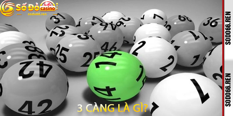 3 Càng Là Gì