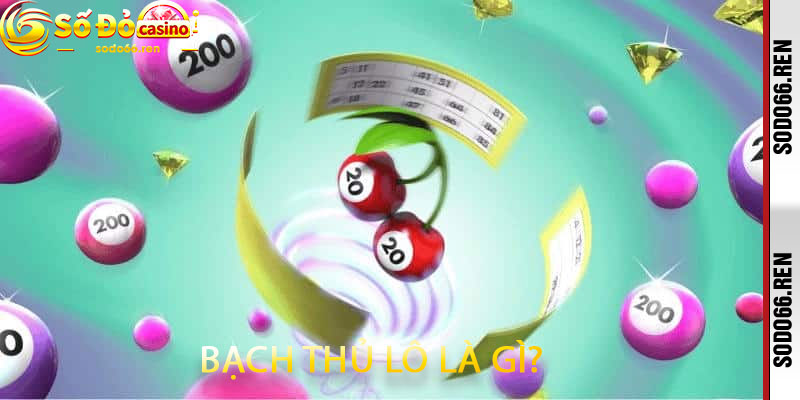 Bạch Thủ Lô Là Gì