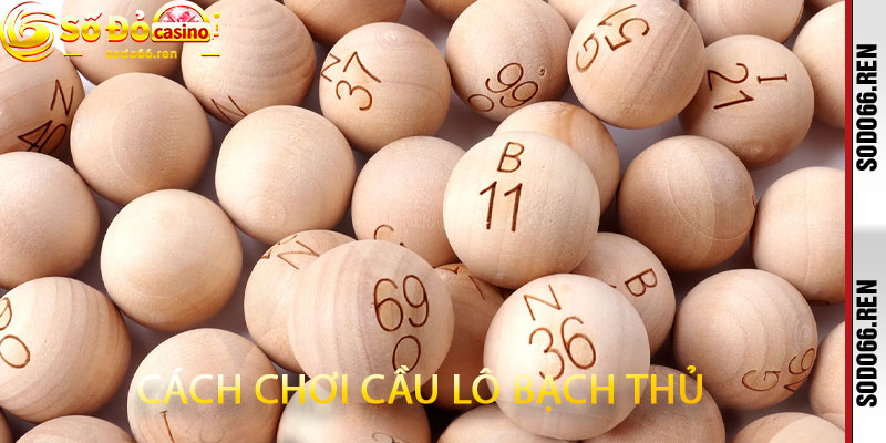 Cách Chơi Cầu Lô Bạch Thủ