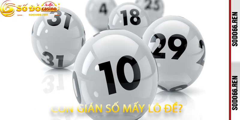 Con Gián Số Mấy Lô Đề
