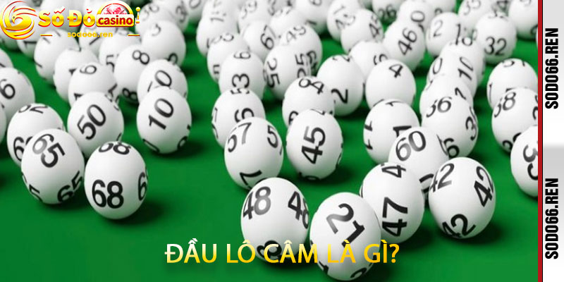 Đầu Lô Câm Là Gì?