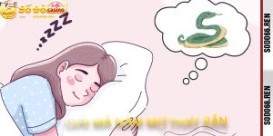 Giải Mã Nằm Mơ Thấy Rắn
