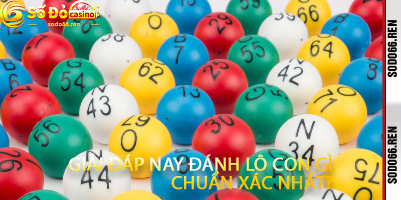 Giải đáp nay đánh lô con gì chuẩn xác nhất