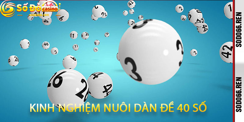 Kinh nghiệm nuôi dàn đề 40 số
