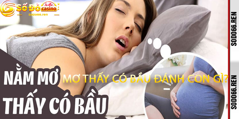 Mơ Thấy Có Bầu Đánh Con Gì