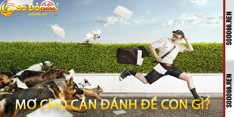 Mơ chó cắn đánh đề con gì