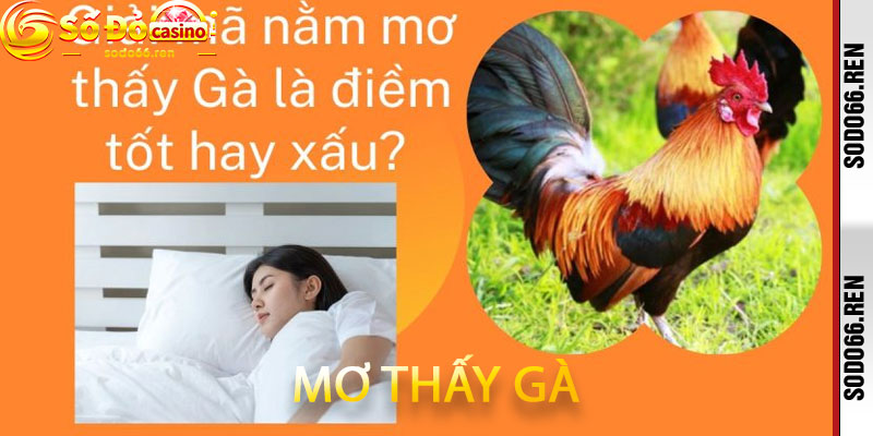 Mơ thấy gà