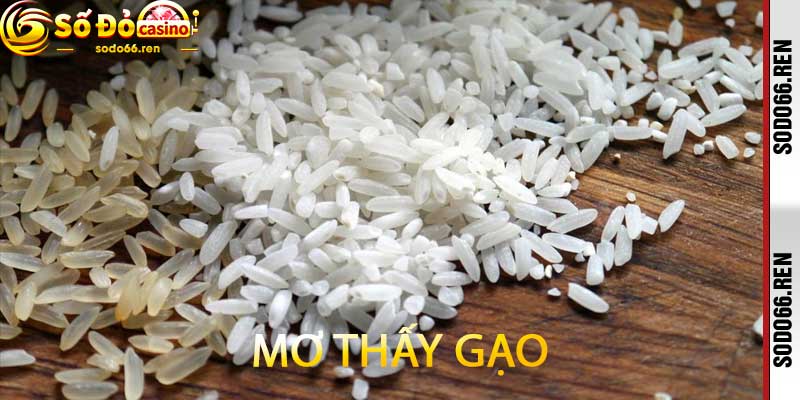Mơ thấy gạo