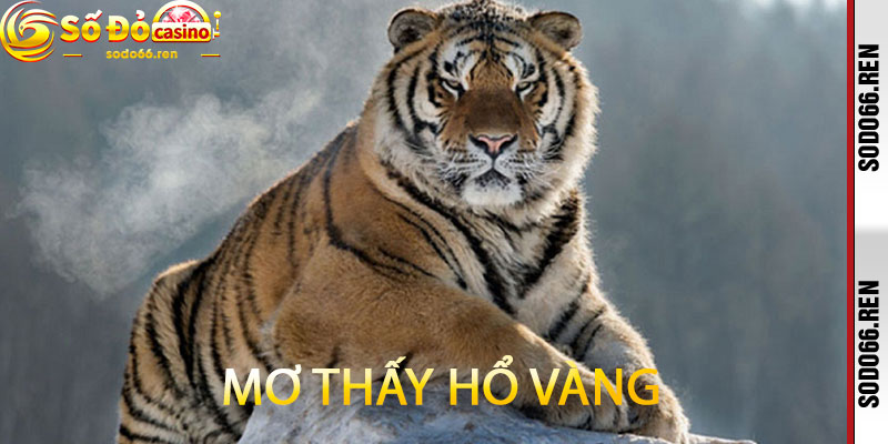 Mơ thấy hổ vàng