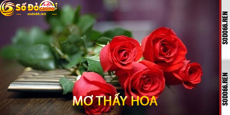 Mơ thấy hoa