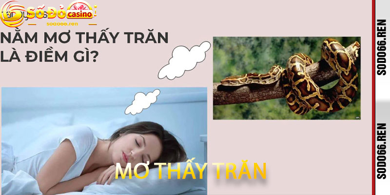 Mơ thấy trăn