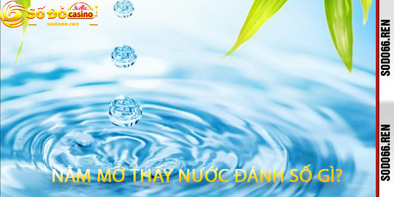 Nằm Mơ Thấy Nước Đánh Số Gì