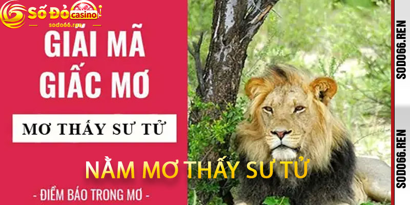 Nằm mơ thấy sư tử