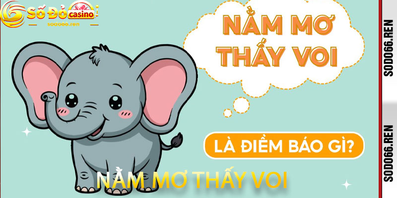 Nằm mơ thấy voi