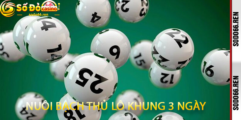Nuôi Bạch Thủ Lô Khung 3 Ngày