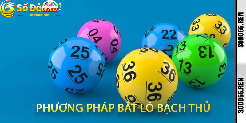 Phương pháp bắt lô bạch thủ