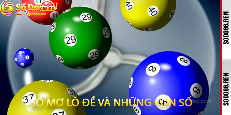 Sổ Mơ Lô Đề Và Những Con Số