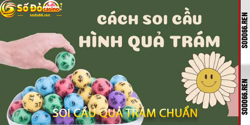 Soi cầu quả trám chuẩn