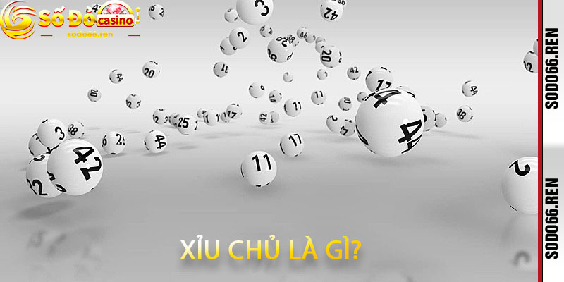 Xỉu chủ là gì