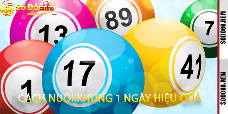 cách nuôi khung 1 ngày hiệu quả