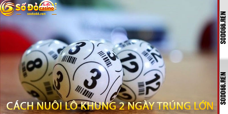 cách nuôi lô khung 2 ngày trúng lớn