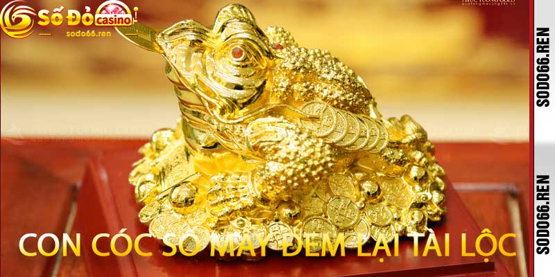 con cóc số mấy đem lại tài lộc