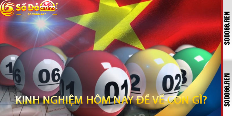 kinh nghiệm hôm nay đề về con gì