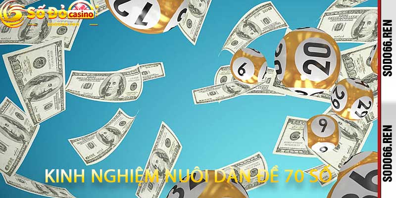 kinh nghiệm nuôi dàn đề 70 số