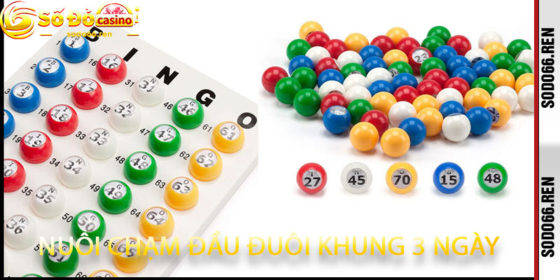 nuôi chạm đầu đuôi khung 3 ngày